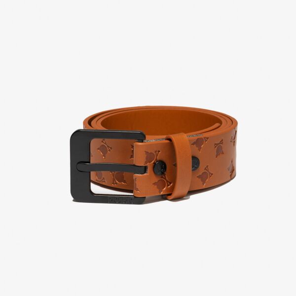 "Flag" Brown Belt
