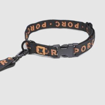 "Elements" Pet Leash and Collar
