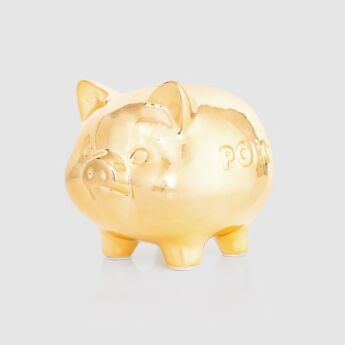 "$efu" Piggie Bank