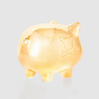 "$efu" Piggie Bank