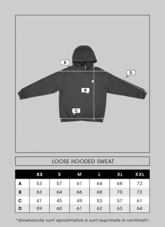 "Capital" Hooded Sweat